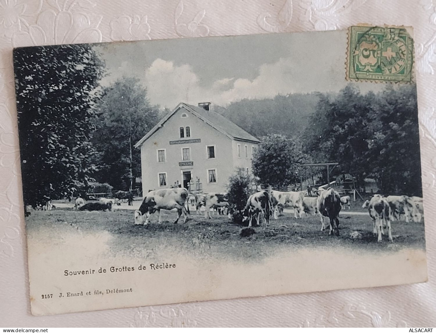 Grotte De Réclère , Vaches - Réclère