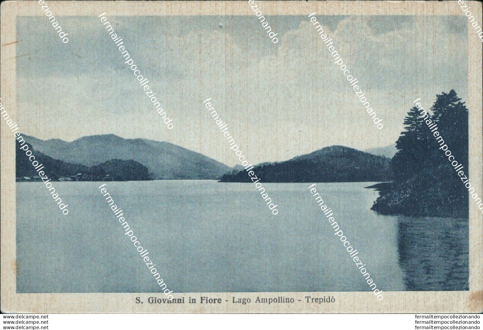 Bf54 Cartolina S.giovanni In Fiore Lago Ampollino Trepido' Provincia Di Cosenza - Cosenza