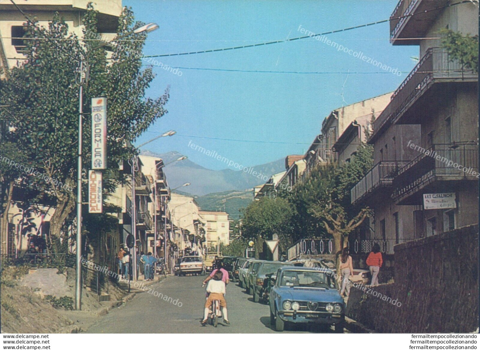 P670 Cartolina Marcellina Via Verbicaro Provincia Di Cosenza - Cosenza