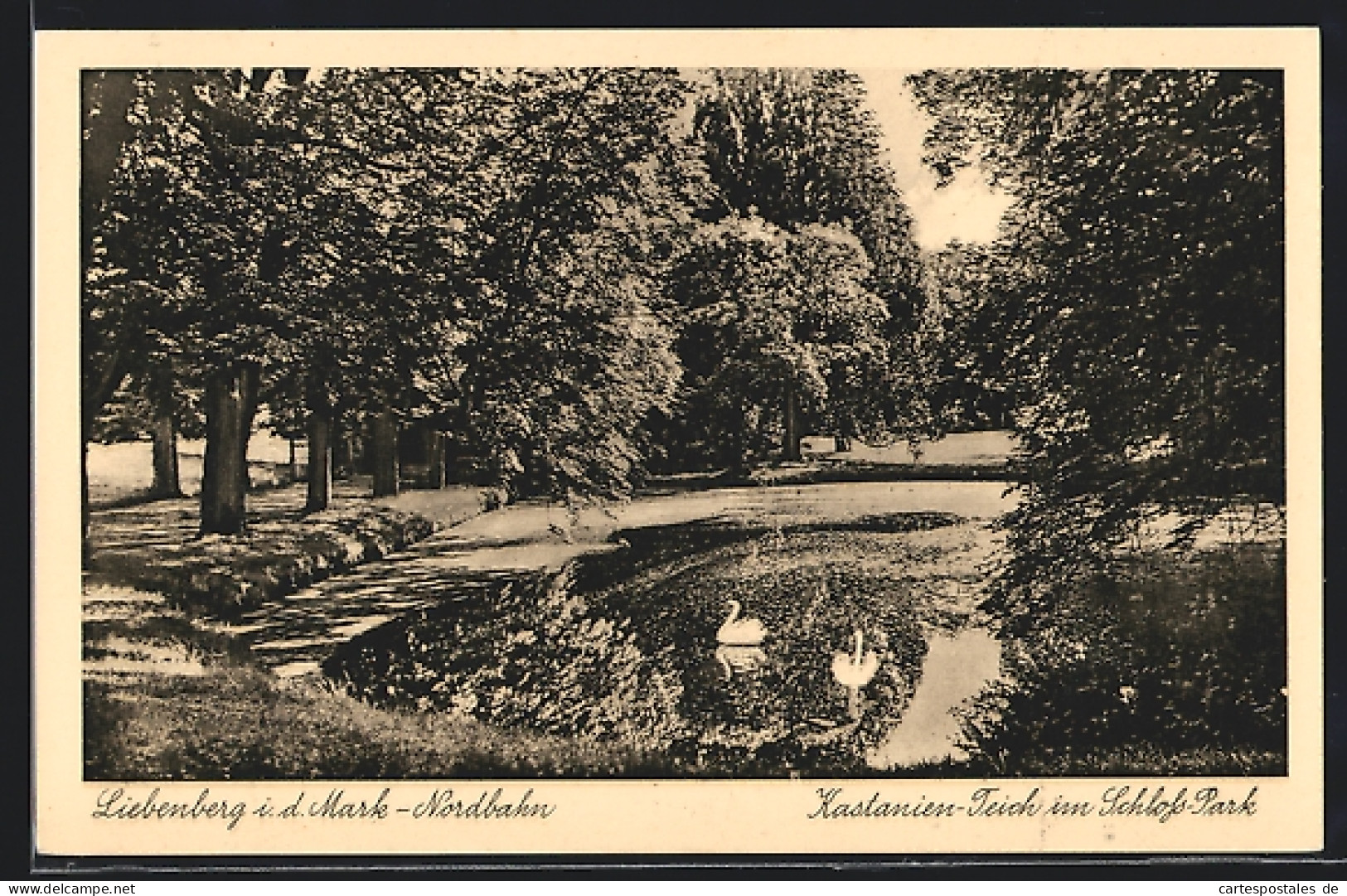 AK Liebenberg I. D. Mark, Kastanien-Teich Im Schloss-Park  - Altri & Non Classificati