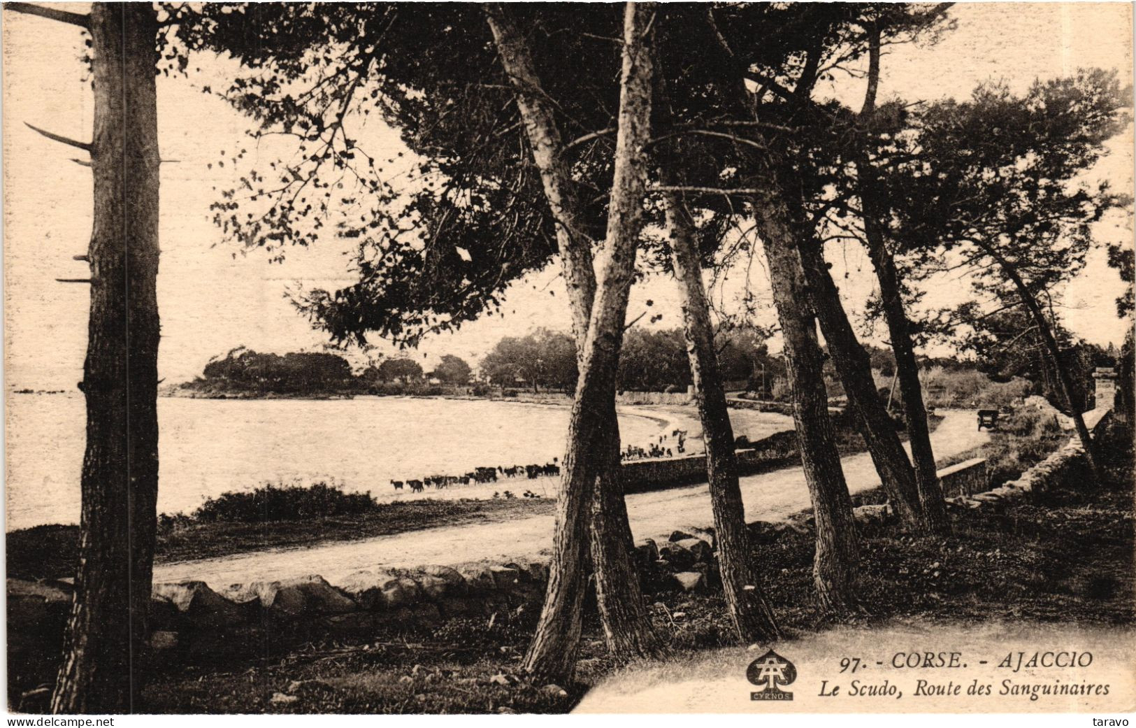 CORSE - AJACCIO - L'Anse Du Scudo -  Route Des Sanguinaires - Années 1920/1930 - Ajaccio