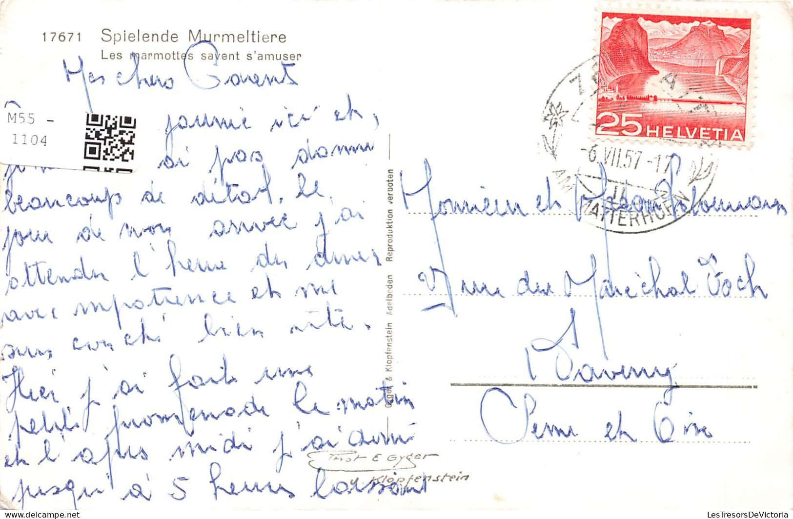 ANIMAUX & FAUNE - Les Marmottes Savent S'amuser - Carte Postale - Other & Unclassified