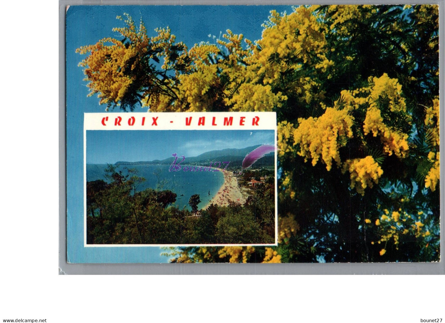 CROIX VALMER 83 - Vue Generale De La Plage Fleur Mimosas Jaune - Sonstige & Ohne Zuordnung