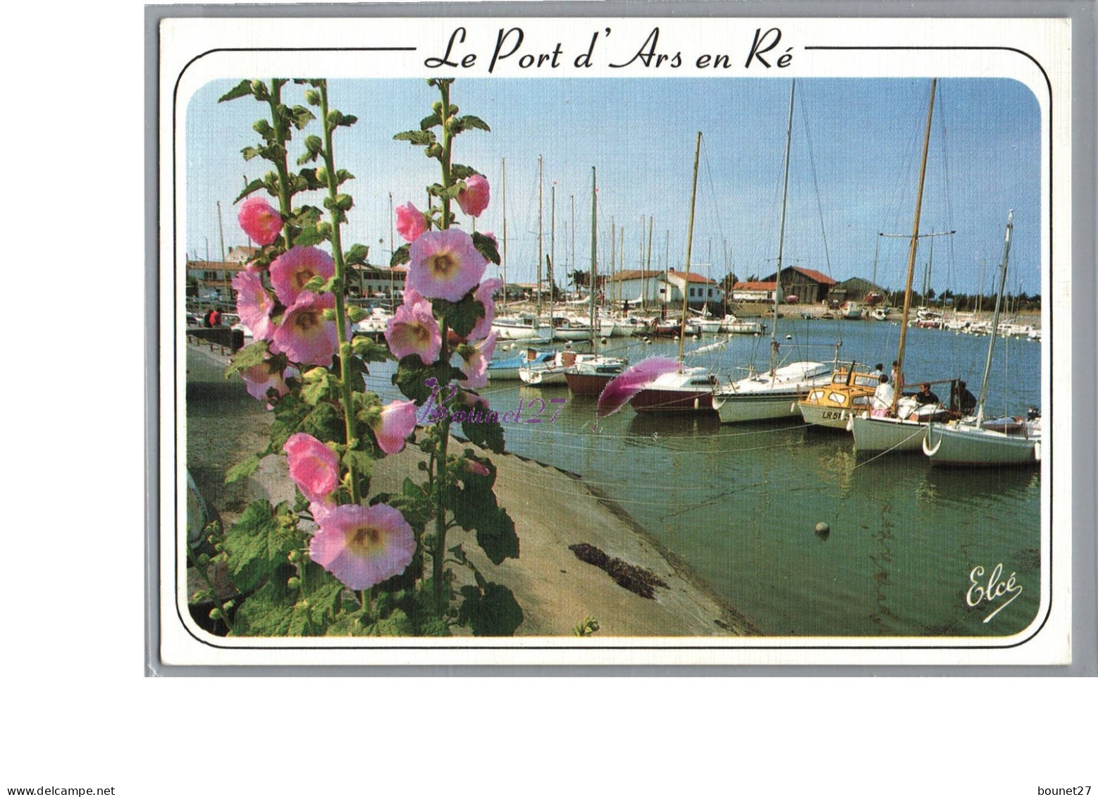 ILE DE RE 17 - Le Pont D'Ars En Ré Port Bâteau Voilier Fleur Rose Tremiere - Ile De Ré