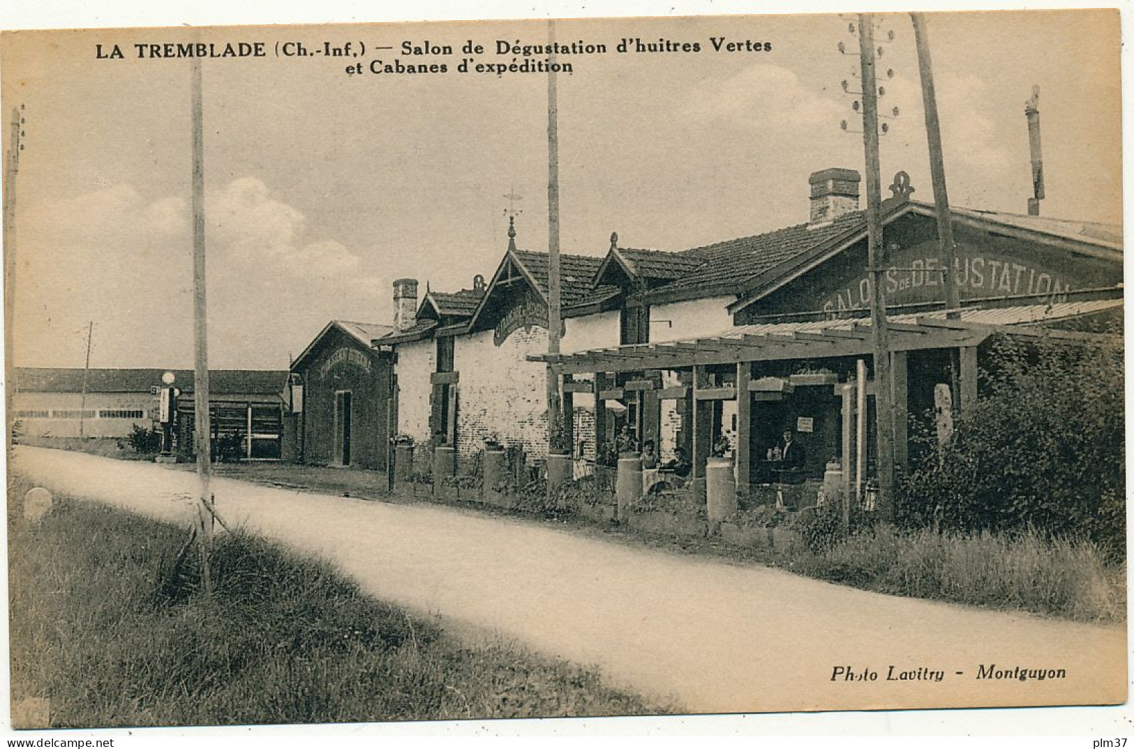 LA TREMBLADE - Salon De Dégustation D'Huitres Vertes, Cabanes D'Expédition - La Tremblade