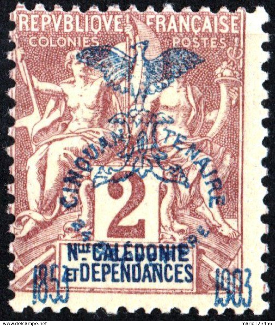 NUOVA CALEDONIA, NEW CALEDONIA, TIPO “GROUPE”, 1903, NUOVI (MLH*) Mi:NC 65, Scott:NC 67, Yt:NC 68 - Unused Stamps