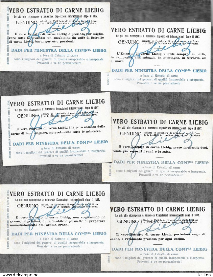 Serie Liebig ITALIANA S1175 Trasporto Di Estratto Di Carne 1925 OTTIMO STATO - Liebig