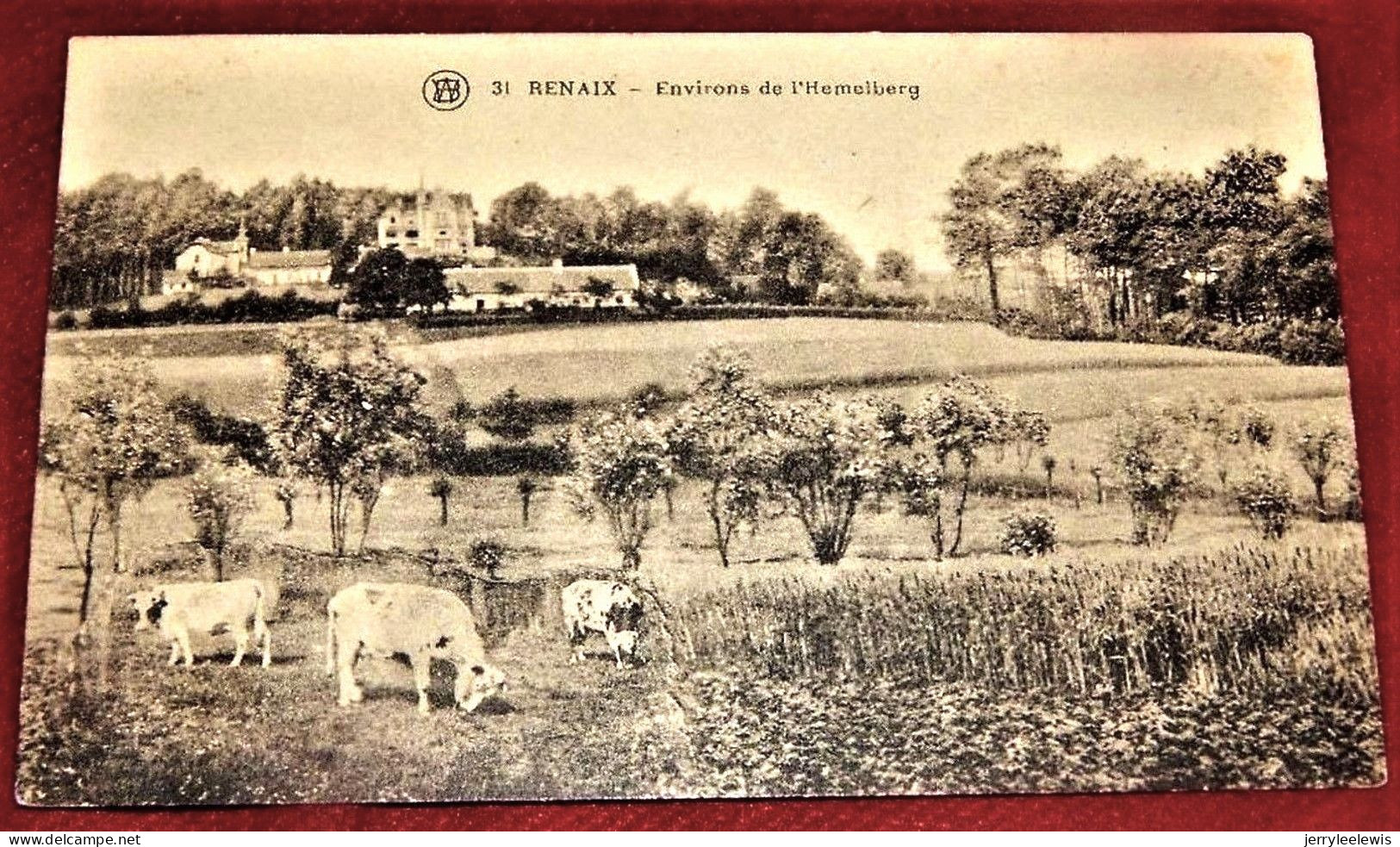 RONSE  - RENAIX  -  Environs De L' Hemelberg - Ronse