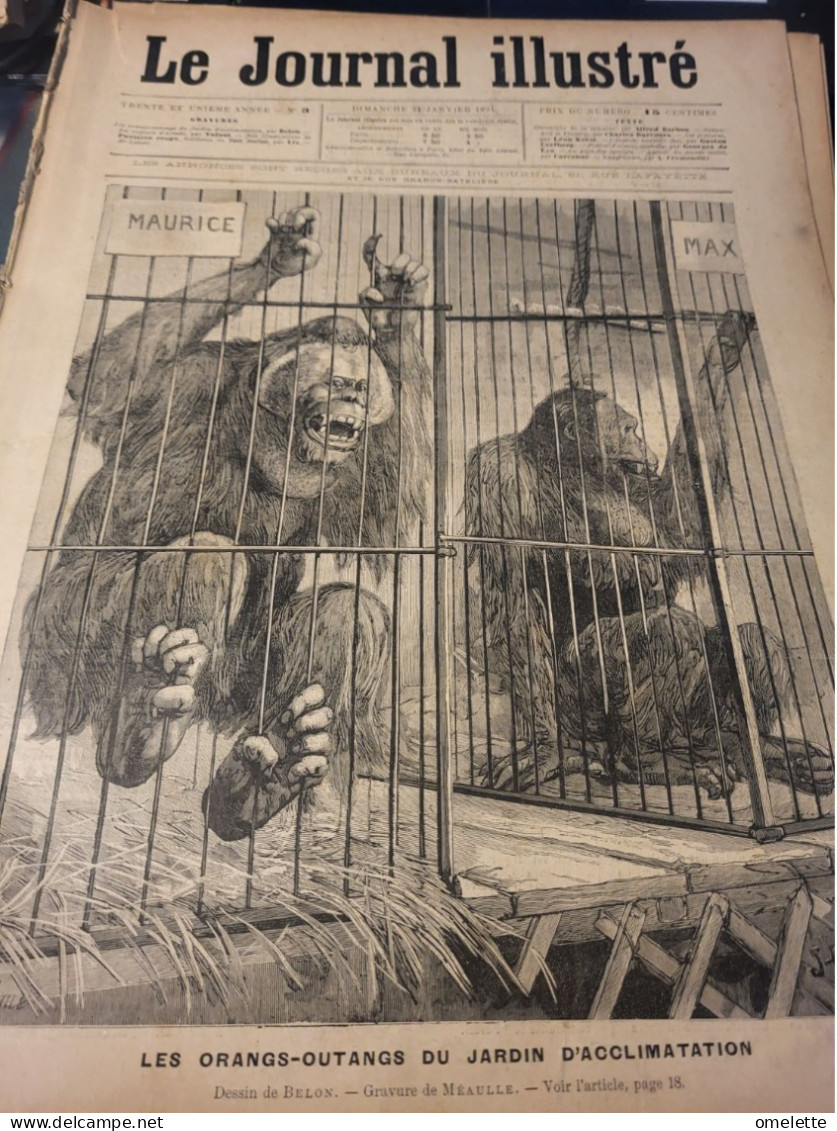 JOURNAL ILLUSTRE 94 /ORANGS OUTANG CAPTURE ARESKI BRIGAND ALGERIE /LABORI AVOCAT DEFENSEUR VAILLANT - Revues Anciennes - Avant 1900