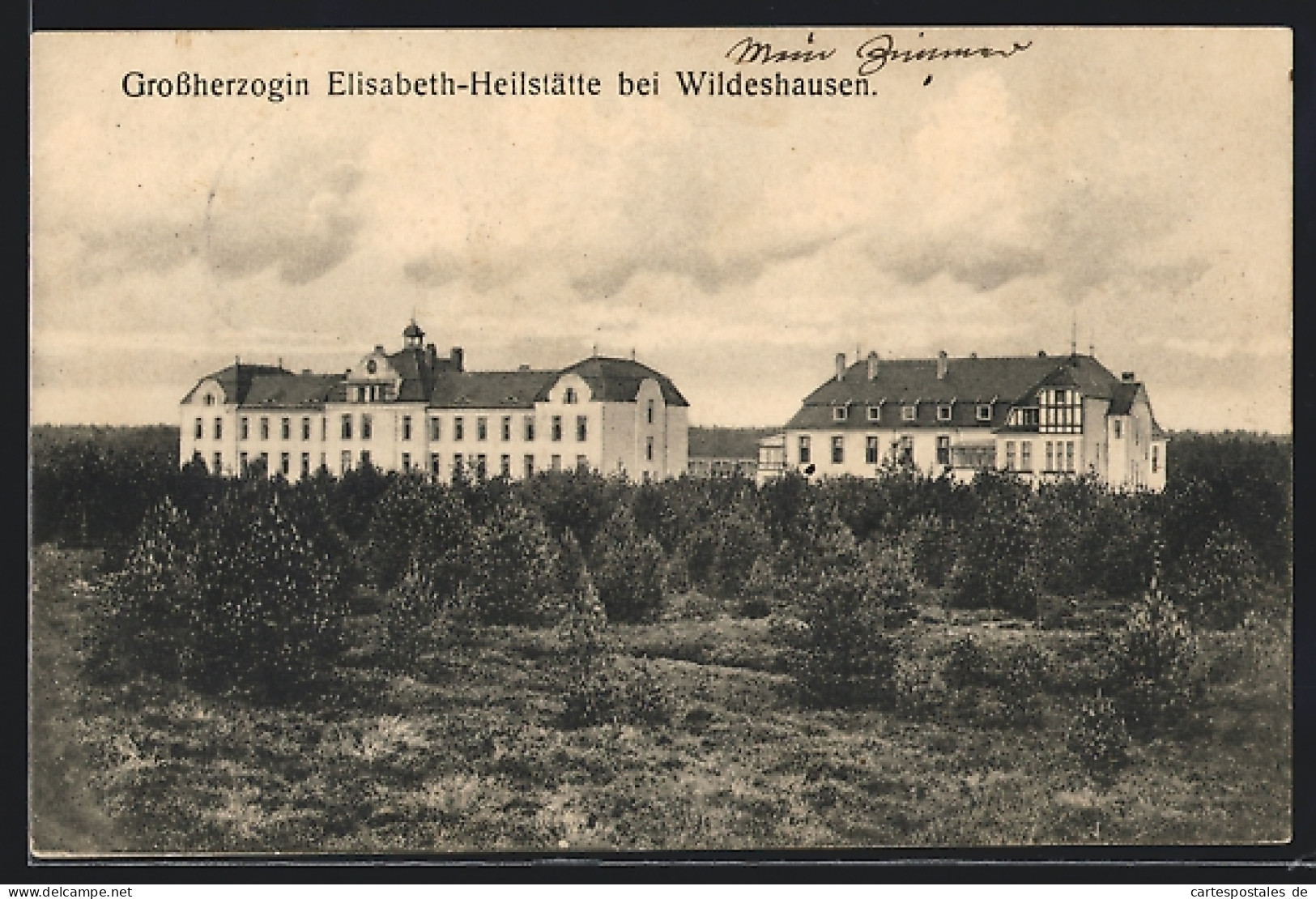 AK Wildeshausen, Grossherzogin Elisabeth-Heilstätte  - Wildeshausen
