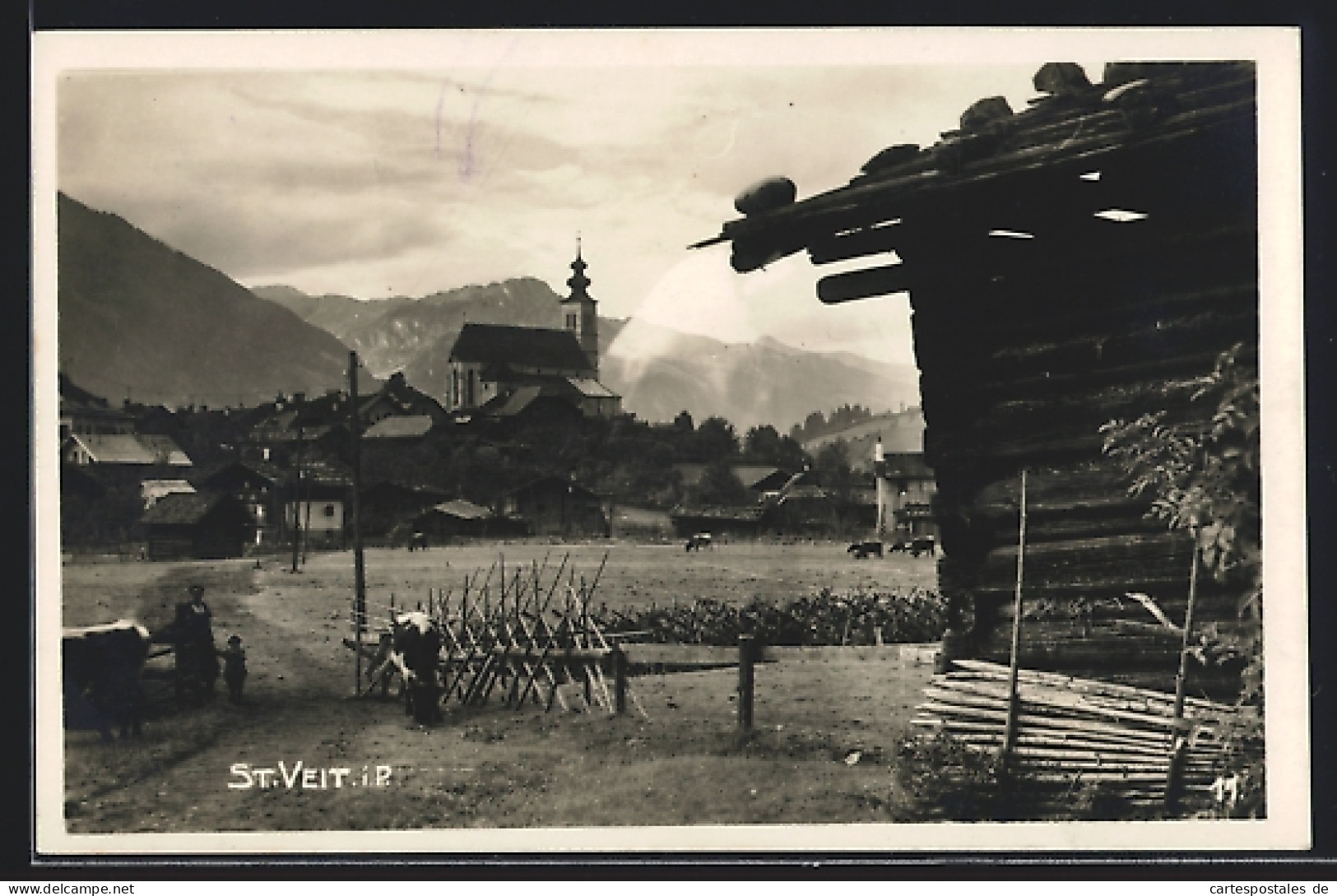 AK St. Veit Im Pongau, Partie Auf Dem Bauernhof  - Other & Unclassified