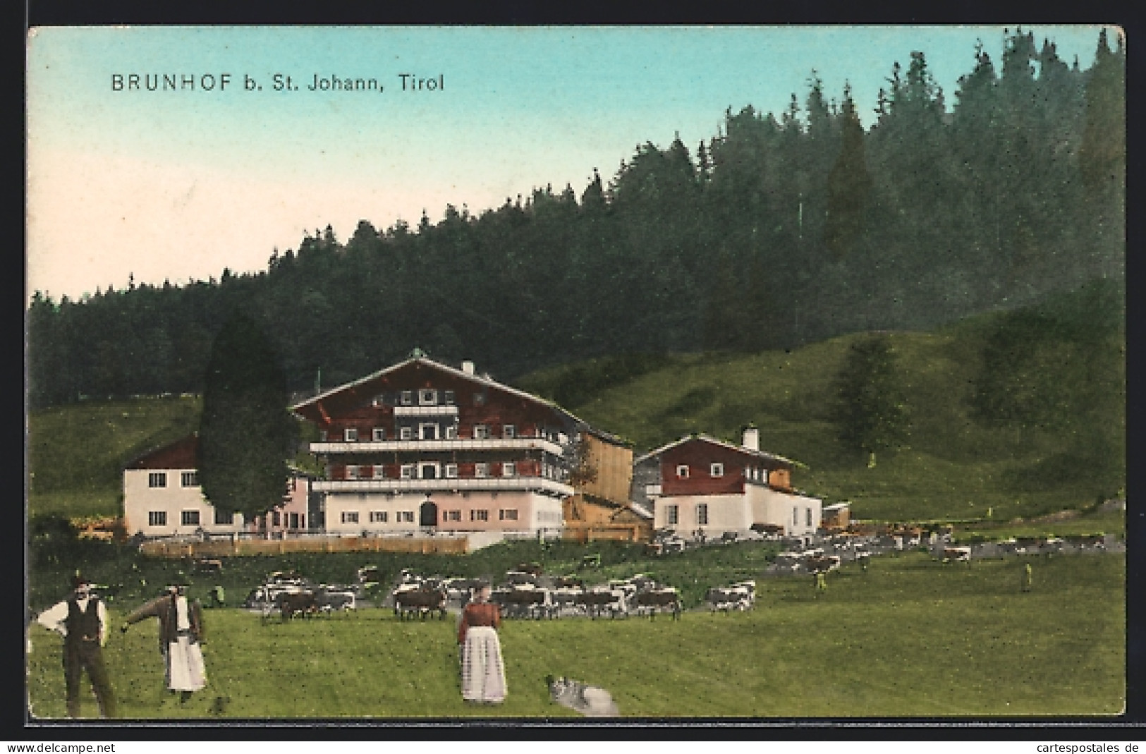 AK St. Johann In Tirol, Brunnhof, Kühe Auf Der Weide  - Sonstige & Ohne Zuordnung