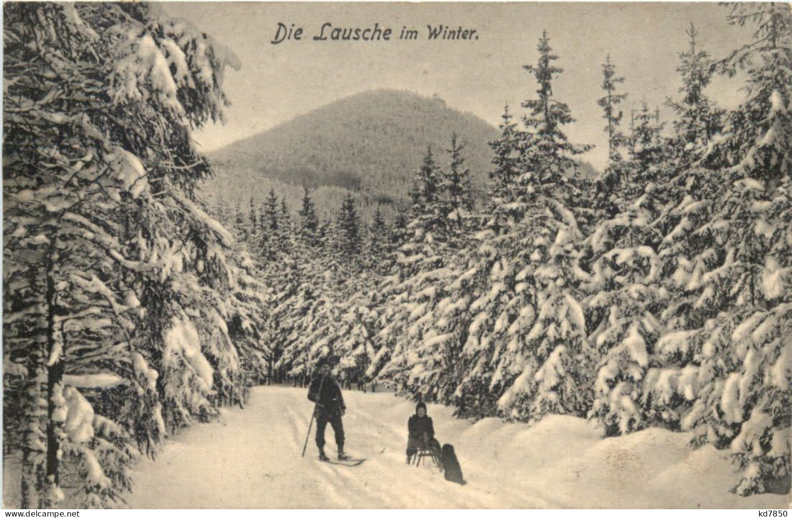 Waltersdorf - Die Lausche Im Winter - Grossschoenau (Sachsen)