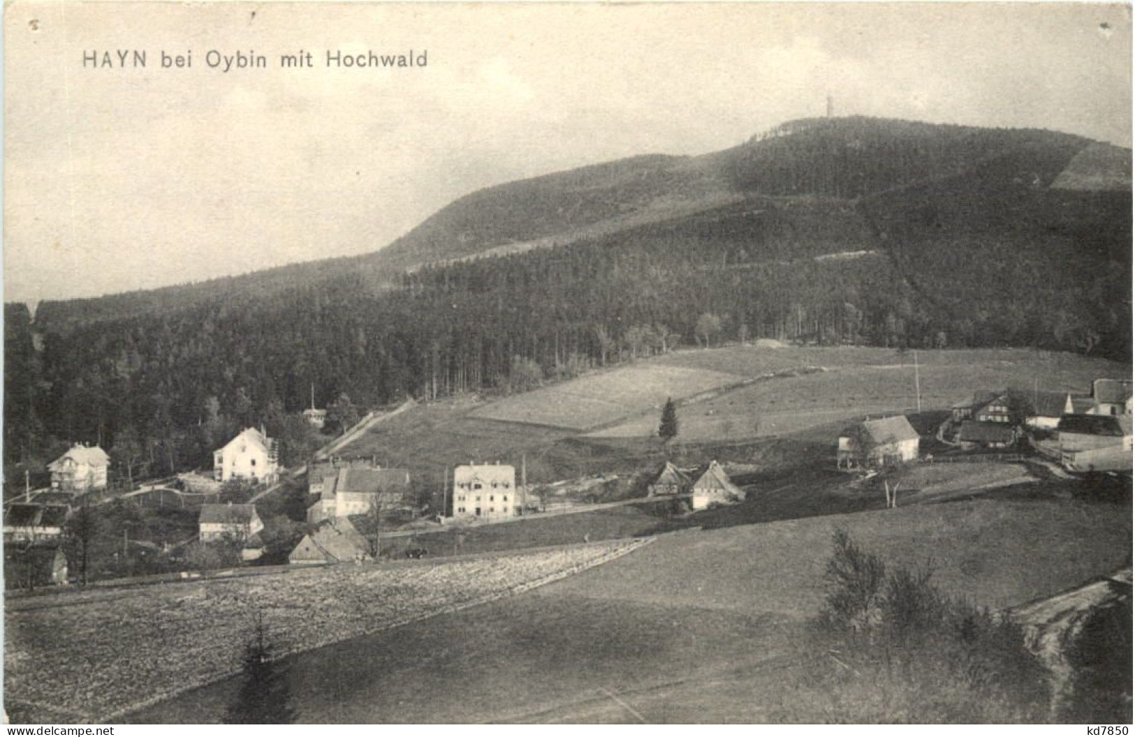 Hayn Bei Oybin - Oybin