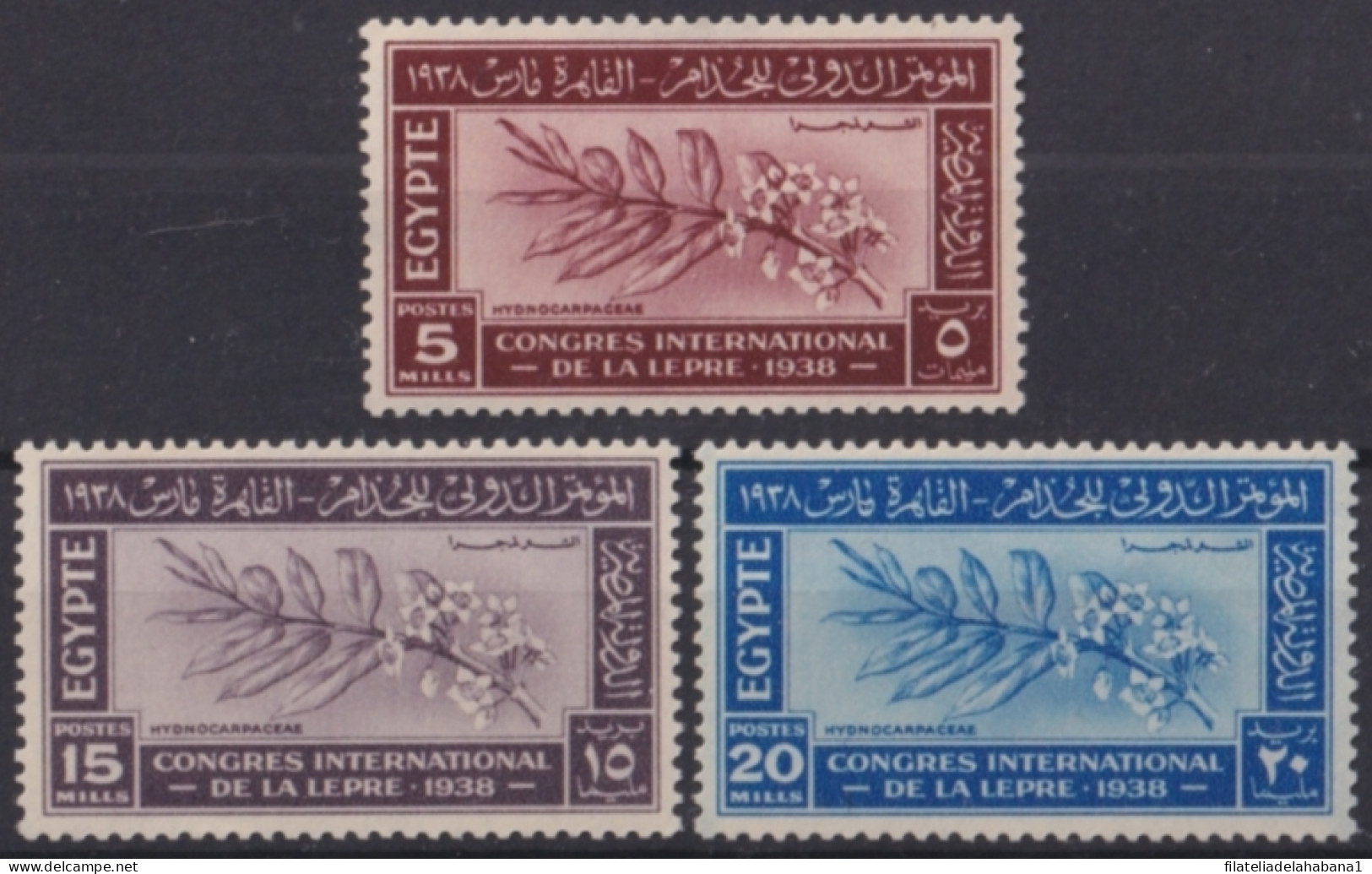 F-EX49955 EGYPT 1938 MH LEPPER MEDICINE INTERNATIONAL CONGRESS UNUSED.  - Unused Stamps