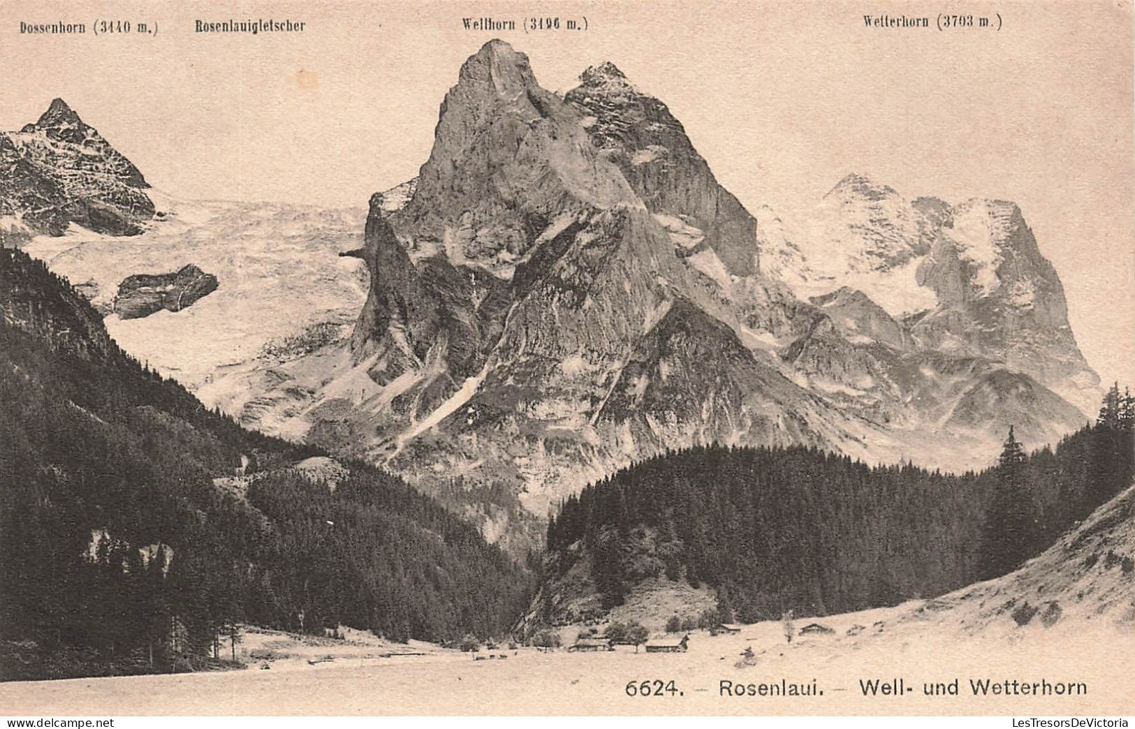 SUISSE - Rosenlaui - Weel Und Wetterhorn - Vue Sur Les Montagnes - Carte Postale Ancienne - Bern