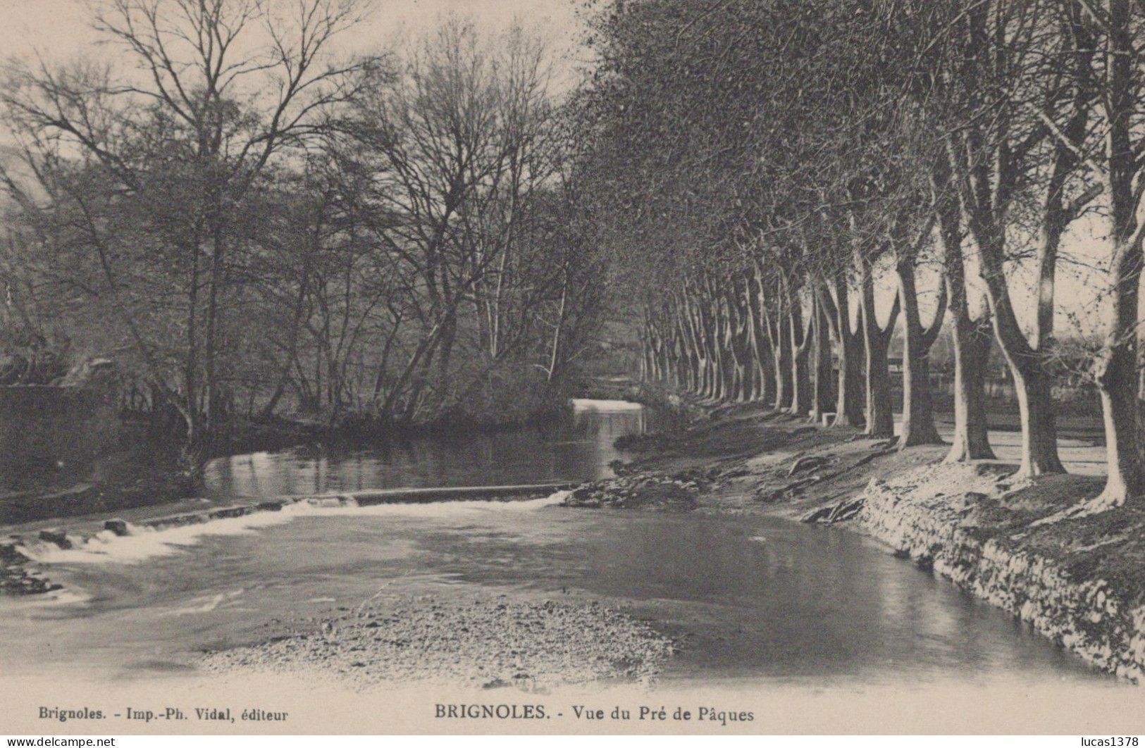 83 / BRIGNOLES / VUE DU PRE DE PAQUES - Brignoles