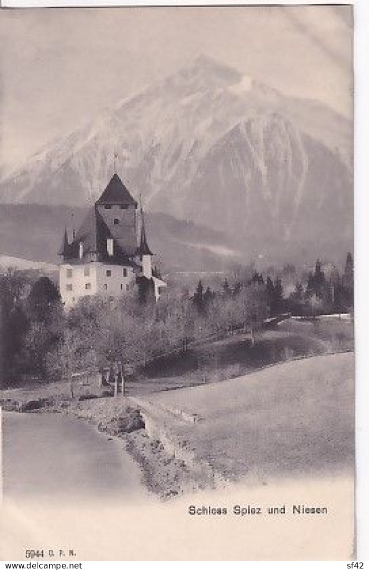 SCHLOSS SPIEZ UND NIESEN - Spiez