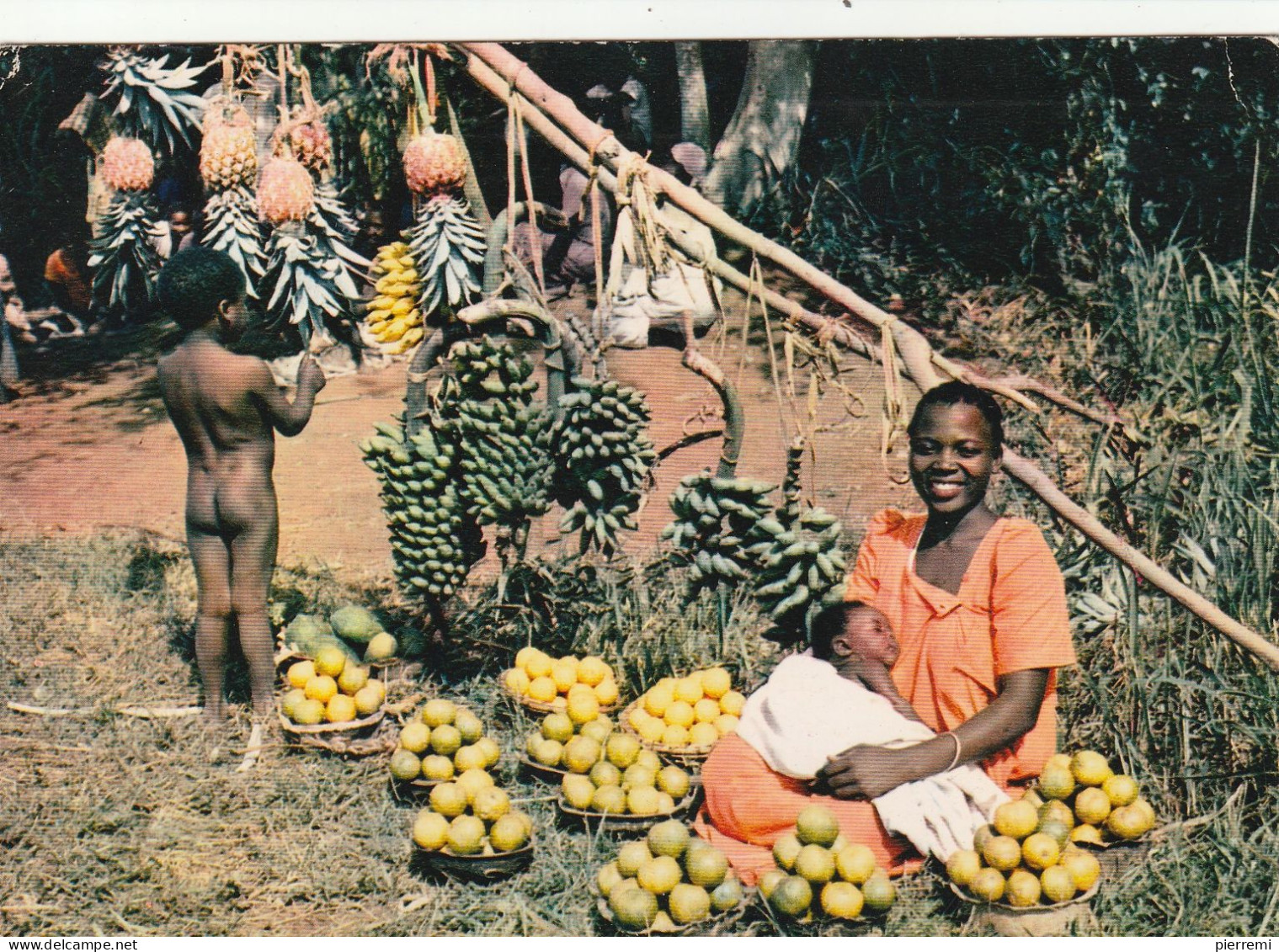 Afrique En Couleurs No.3477  Marchande De Fruits - Sin Clasificación