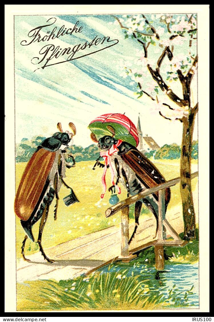 CARTE GAUFFRÉE - COURRIER DE STRASBOURG - 1908 -  THÈME INSECTES -  - Strasbourg