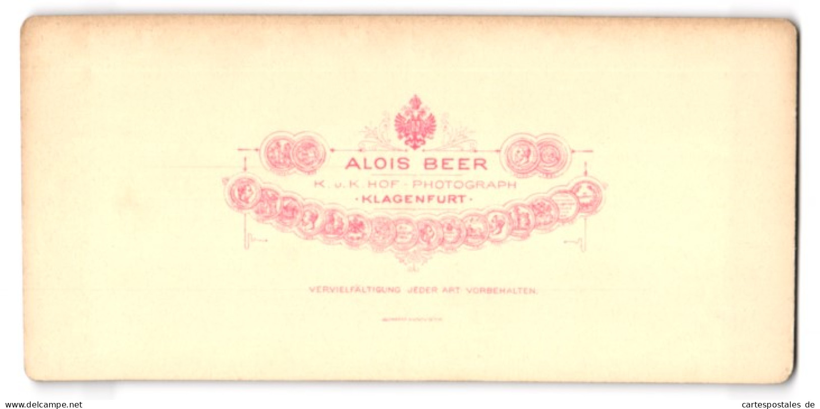 Stereo-Fotografie Alois Beer, Klagenfurt, Ansicht Salzburg, Blick Zum Schloss Anif  - Stereoscoop