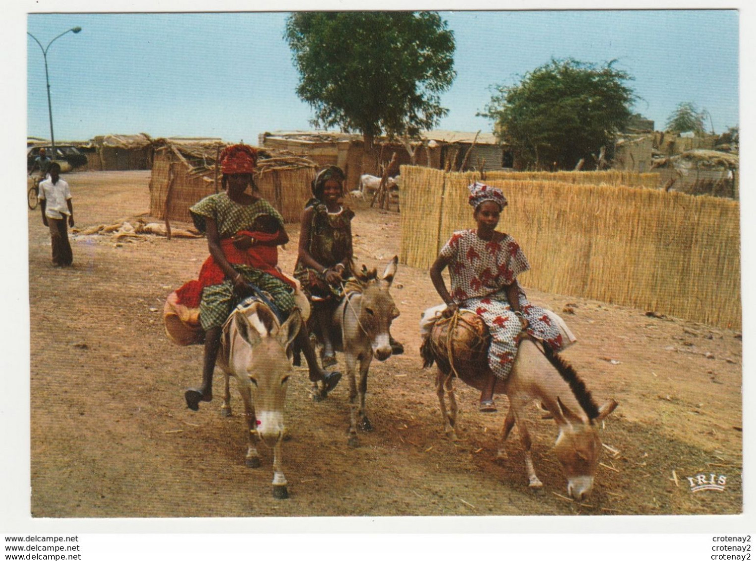 SENEGAL Départ Pour Le Marché Femme Bébé Et Jeunes Filles Sur ânes VOIR DOS Edit ADP Dakar N°8154 - Senegal