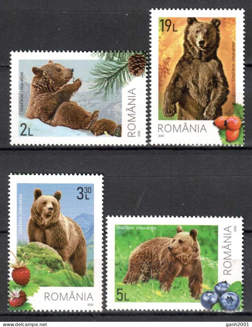Romania 2020 Rumanía / Animals Mammals Bears MNH Fauna Mamíferos Osos Säugetiere / Cu21917  41-10 - Sonstige & Ohne Zuordnung