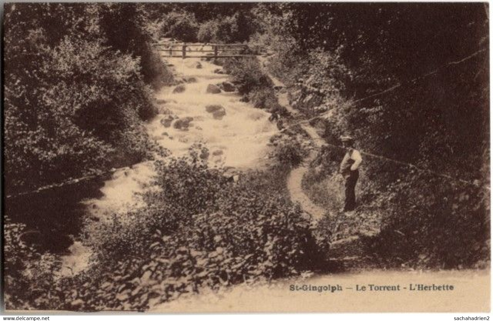 74. ST-GINGOLPH. Le Torrent. L'Herbette - Other & Unclassified