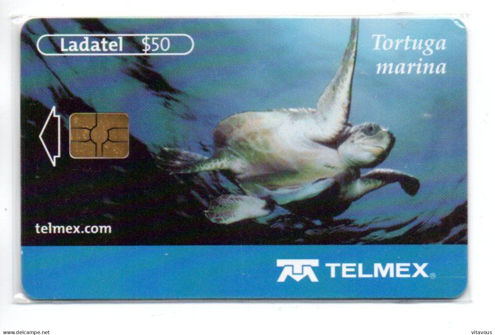 Tortue  Tortoise Turtle  Télécarte Mexique Phonecard  (K 280) - Messico
