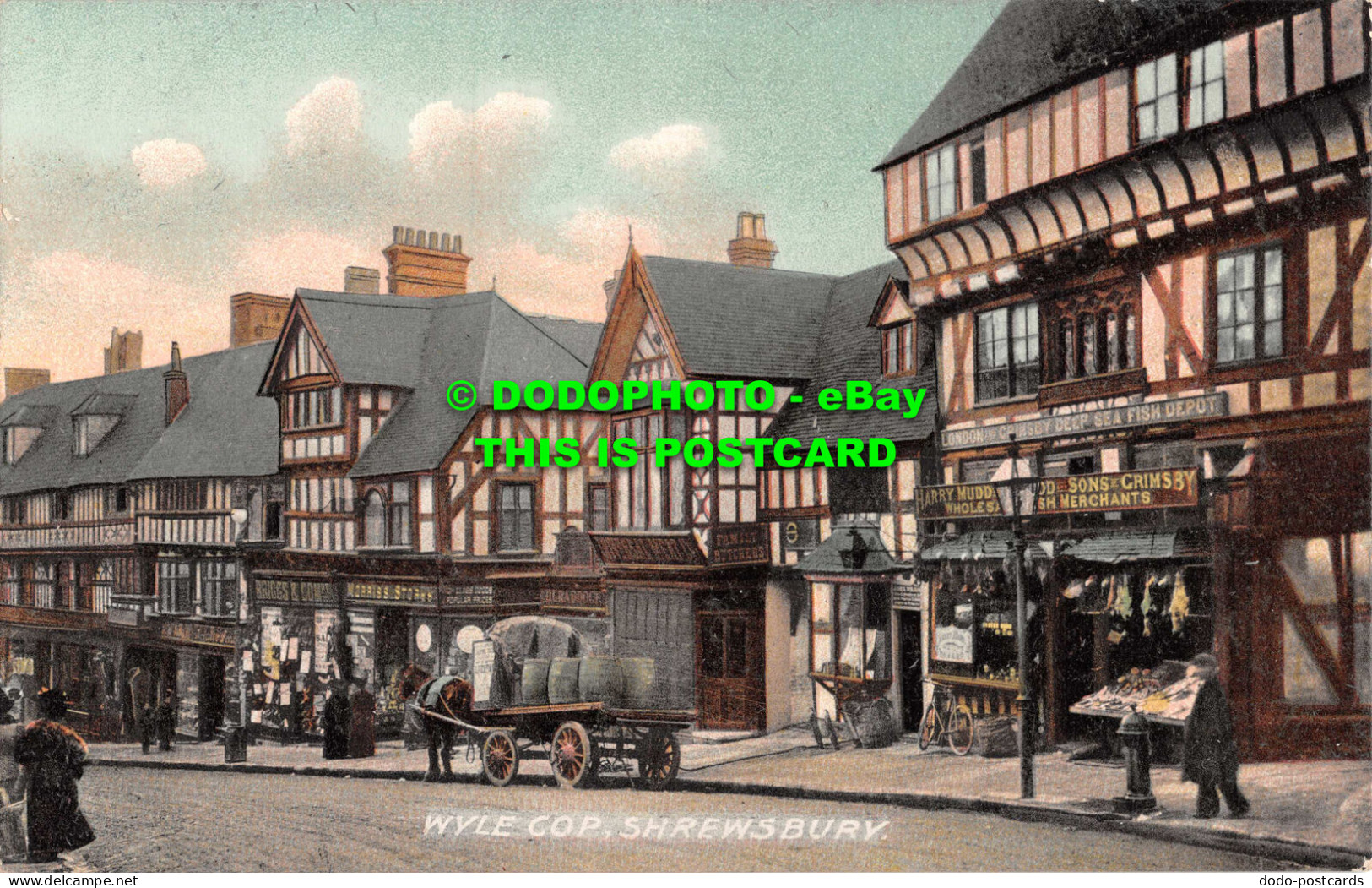 R546953 Shrewsbury. Wyle Cop. Postcard - World