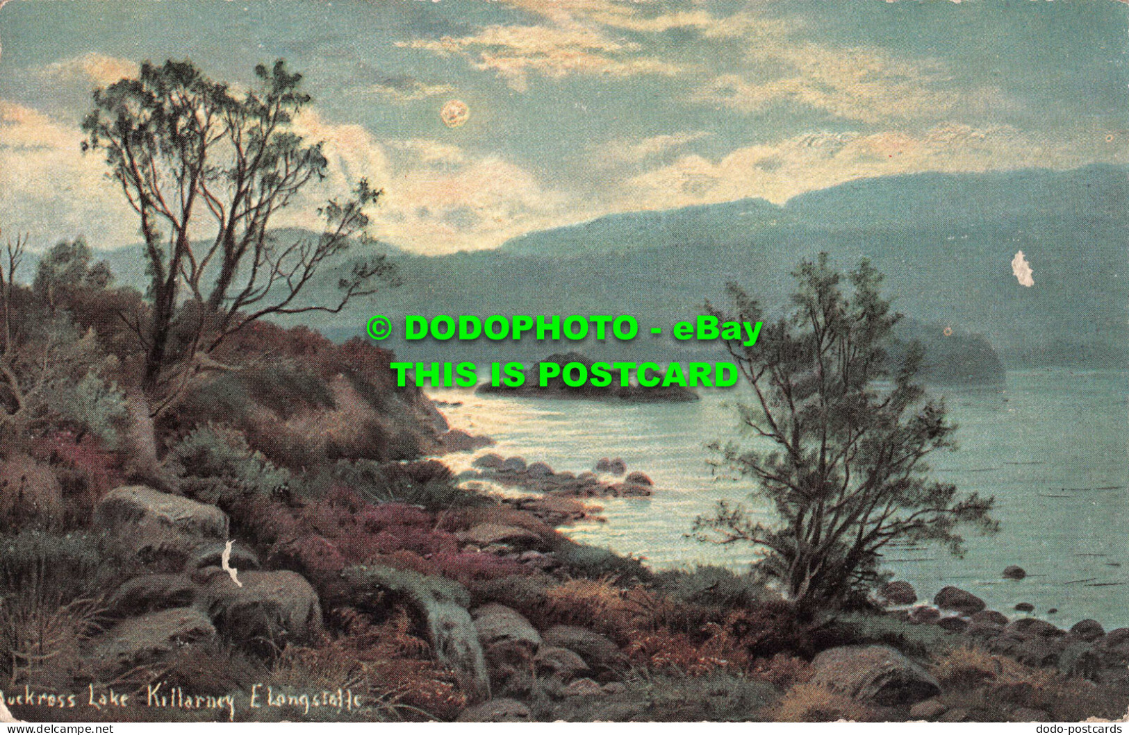 R547405 Muckross Lake. Killarney. E. Longstaffe. S. Hildesheimer. No. 5231 - World