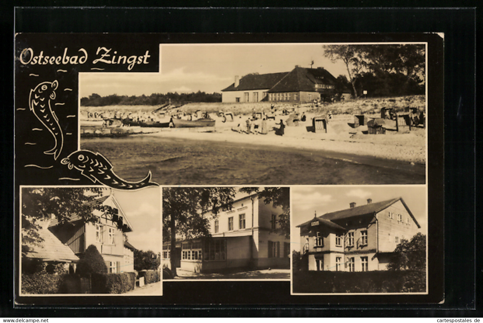 AK Zingst / Ostsee, Strand Mit Besuchern  - Zingst