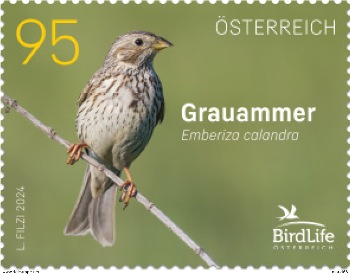 Austria - 2024 - BirdLife International - Corn Bunting - Mint Stamp - Ungebraucht