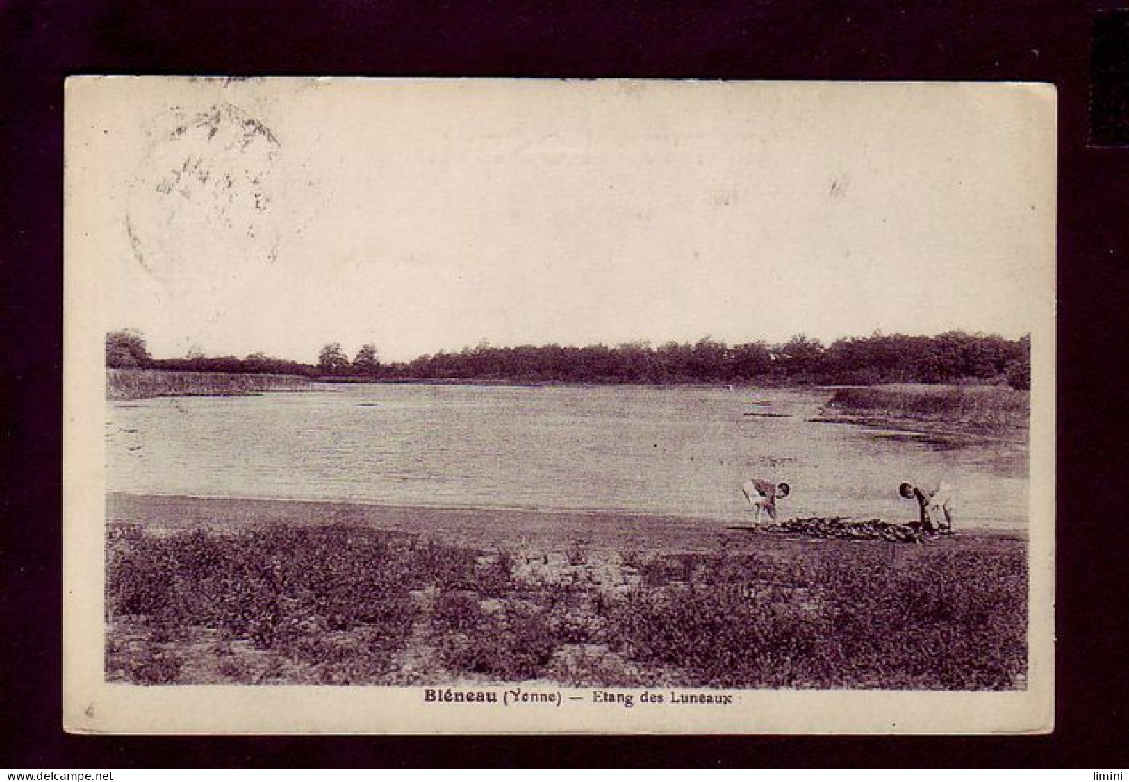 89 - BLENEAU - ETANG DES LUNEAUX - ANIMÉE -  - Bleneau