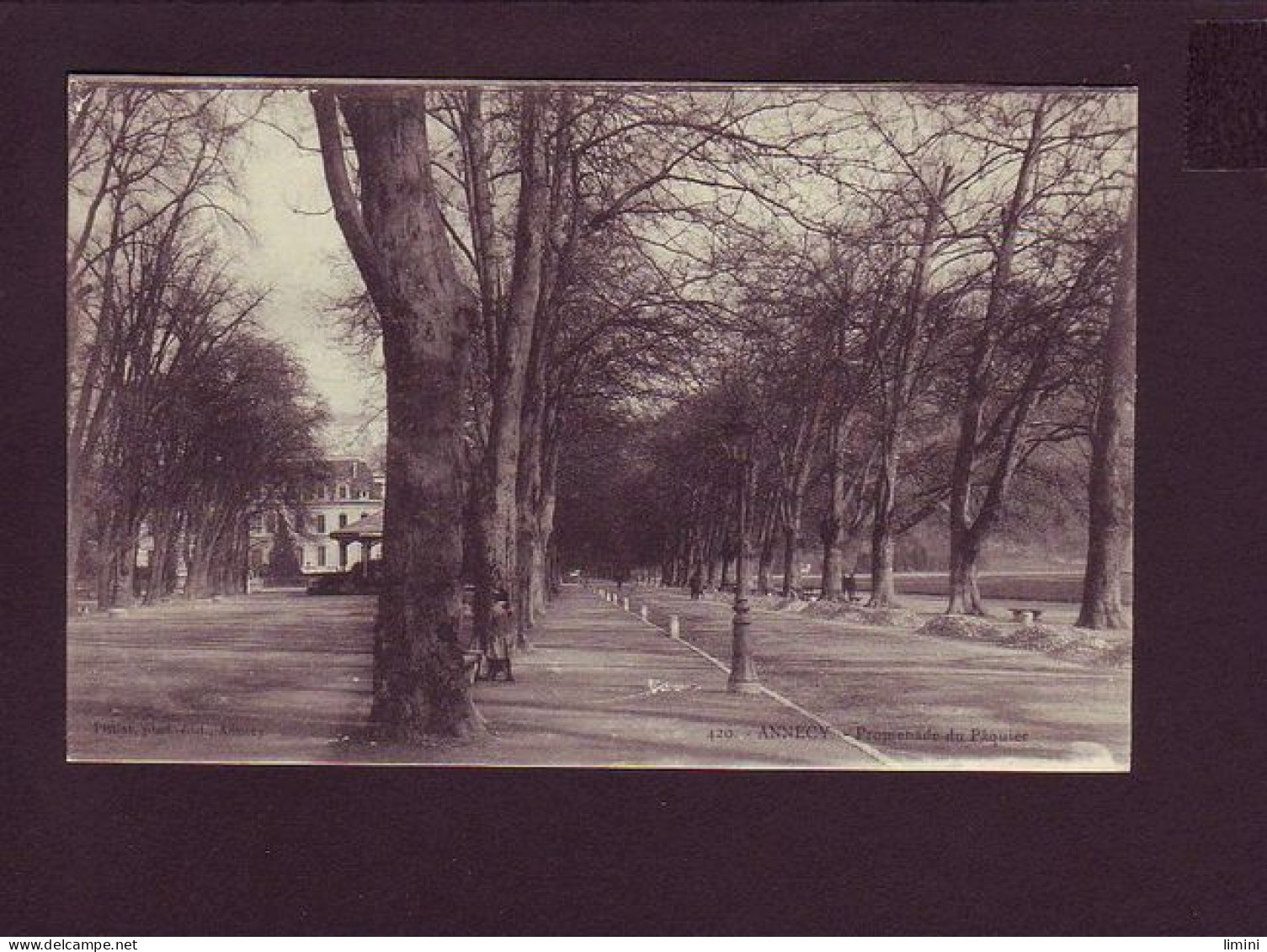 74 - ANNECY - PROMENADE DU PAQUIER - ANIMÉE -  - Annecy