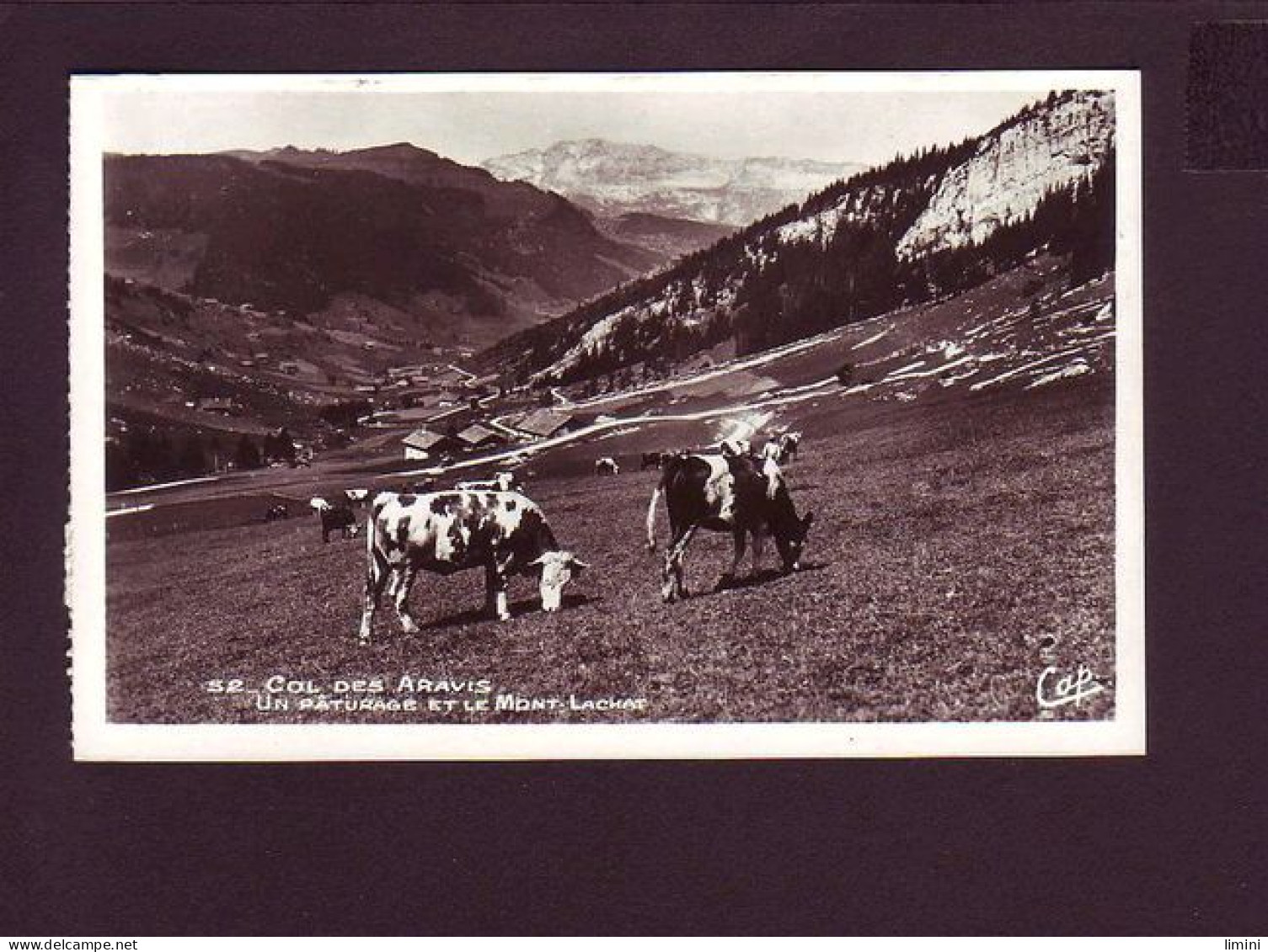 74 - COL DES ARAVIS - UN PATURAGE ET LE MONT-LACHAT  -  - Other & Unclassified