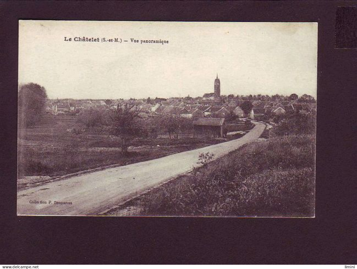 77 - LE CHATELET - VUE PANORAMIQUE -  - Other & Unclassified