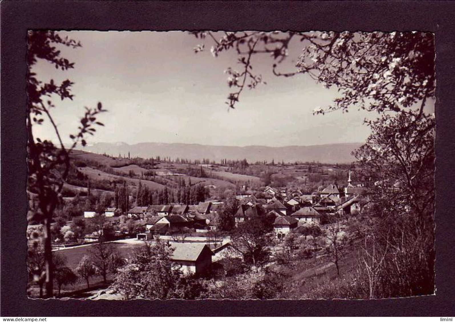 74 - FRANGY - VUE GÉNÉRALE ET LA CHAINE DU JURA -  - Frangy