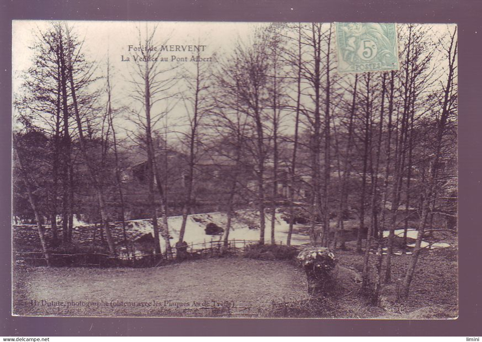 85 - FORET DE MERVENT - LA VENDÉE AU PONT ALBERT -  - Autres & Non Classés