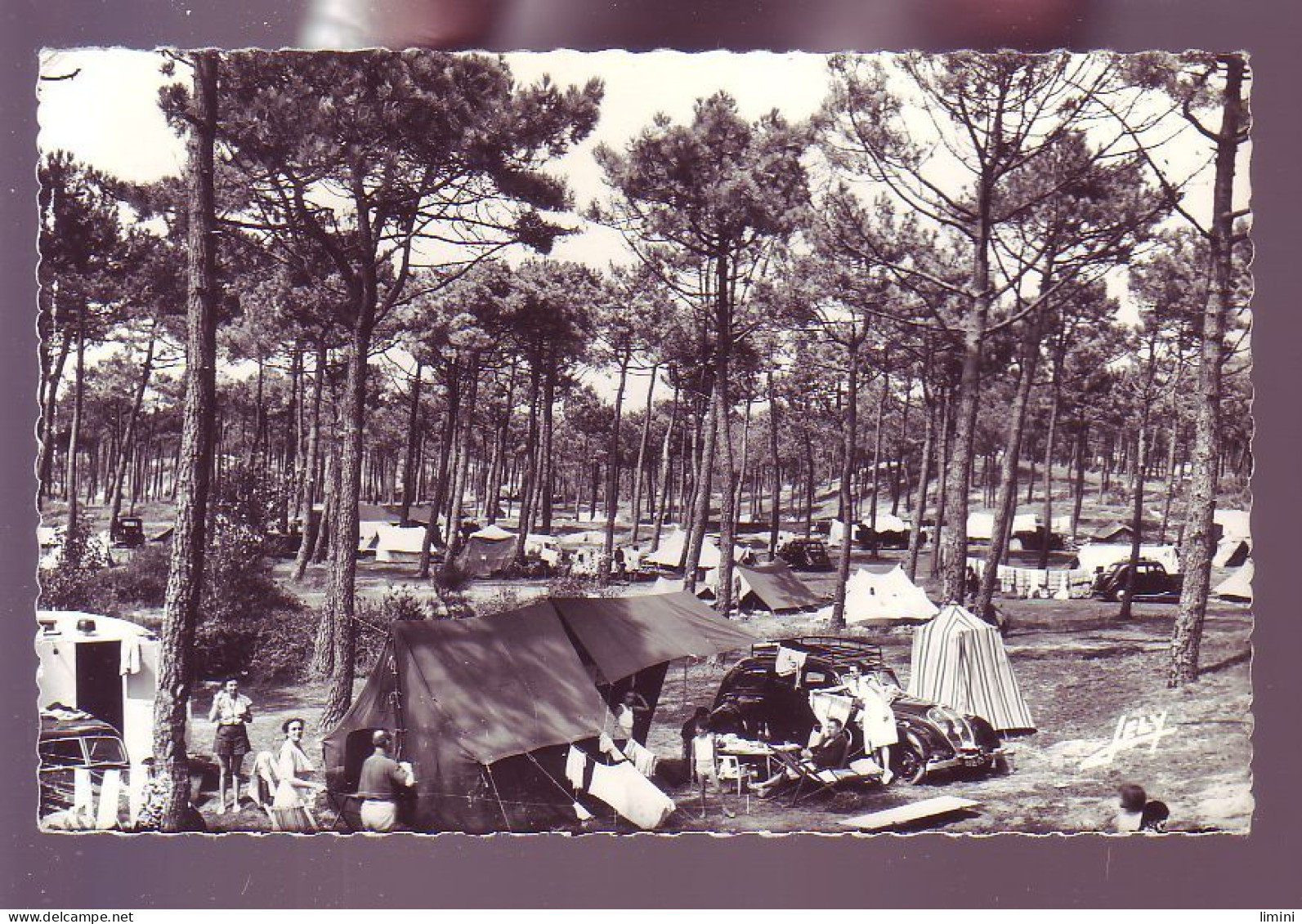 85 - SAINT-JEAN-de-MONTS - LE COIN DES CAMPEURS DANS LA FORET - ANIMÉE -  - Saint Jean De Monts