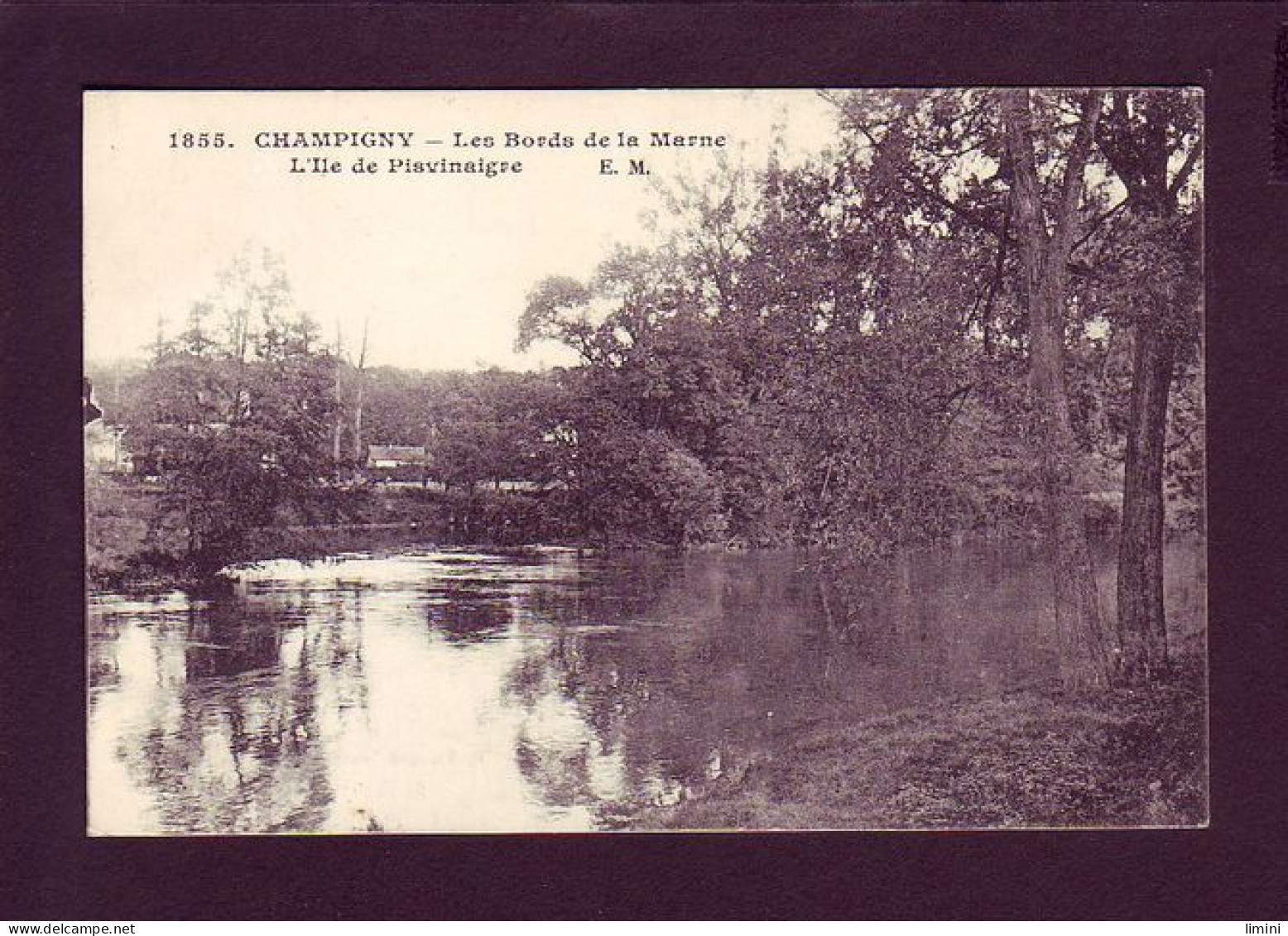 94 - CHAMPIGNY - L'ILE DE PISVINAIGRE -  - Champigny Sur Marne