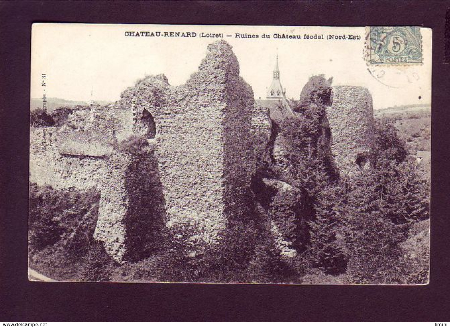 45 - CHATEAU-RENARD - RUINES DU CHATEAU FEODAL -  - Other & Unclassified