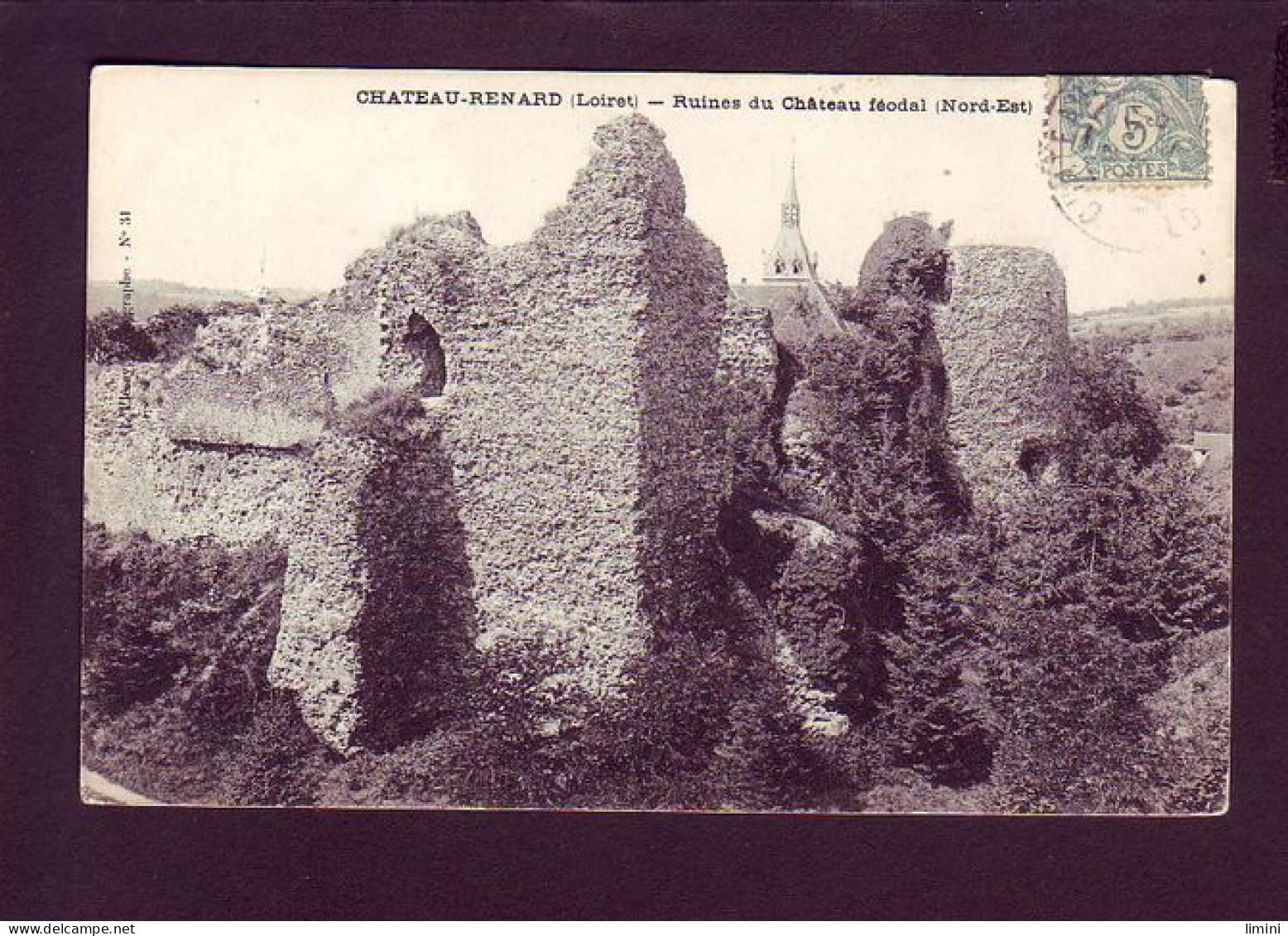 45 - CHATEAU-RENARD - RUINES DU CHATEAU FEODAL -  - Autres & Non Classés