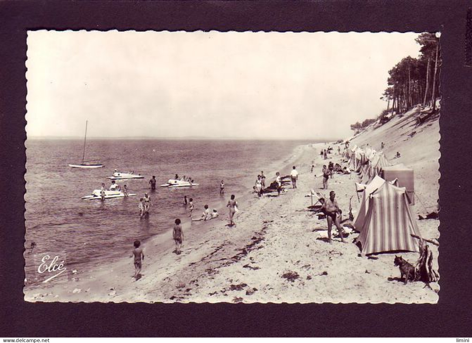 33 - ARCACHON - LA PLAGE DES ABATILLES - LES PEDALOS - ANIMÉE -  - Arcachon