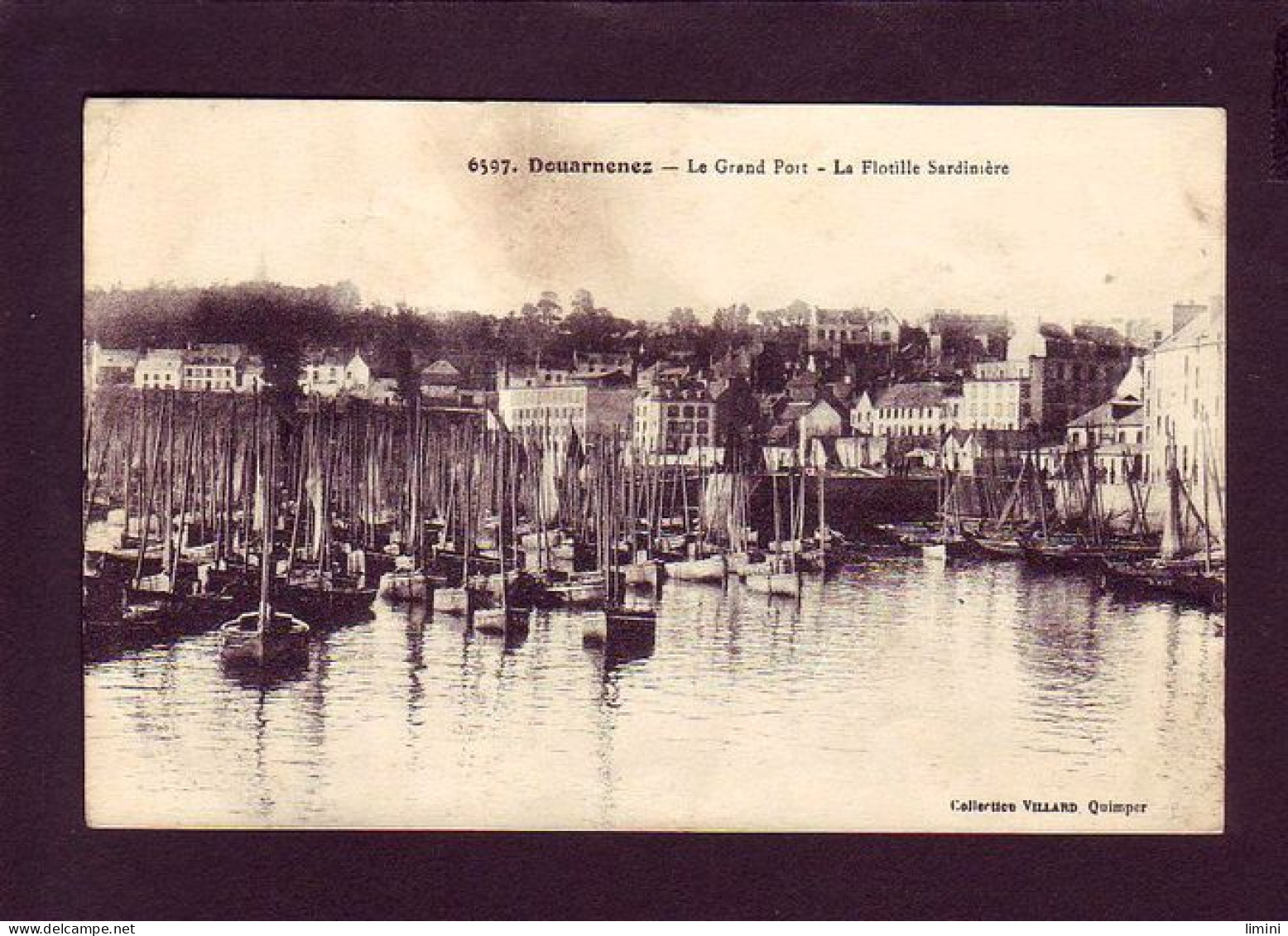 29 - DOUARNENEZ - LE GRAND PORT - LA FLOTILLE SARDINIERE -  - Douarnenez