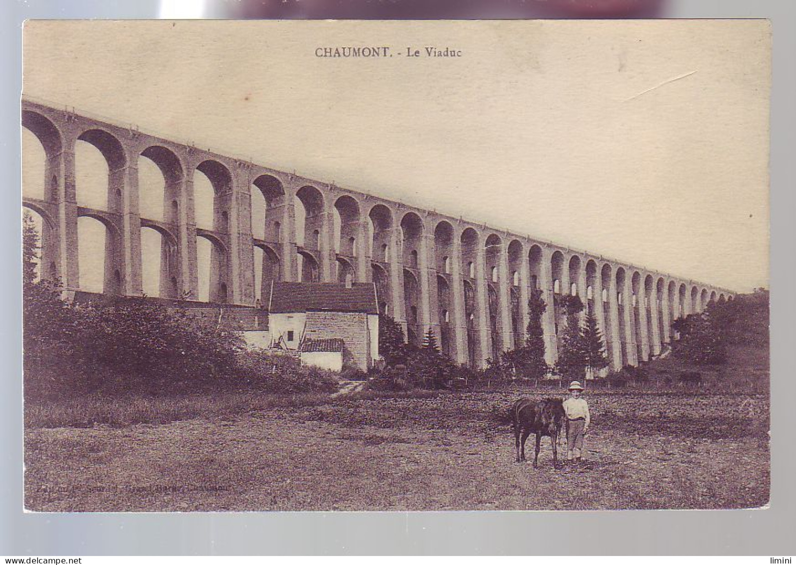 52 - CHAUMONT - LE VIADUC - ANIMÉE -  - Chaumont