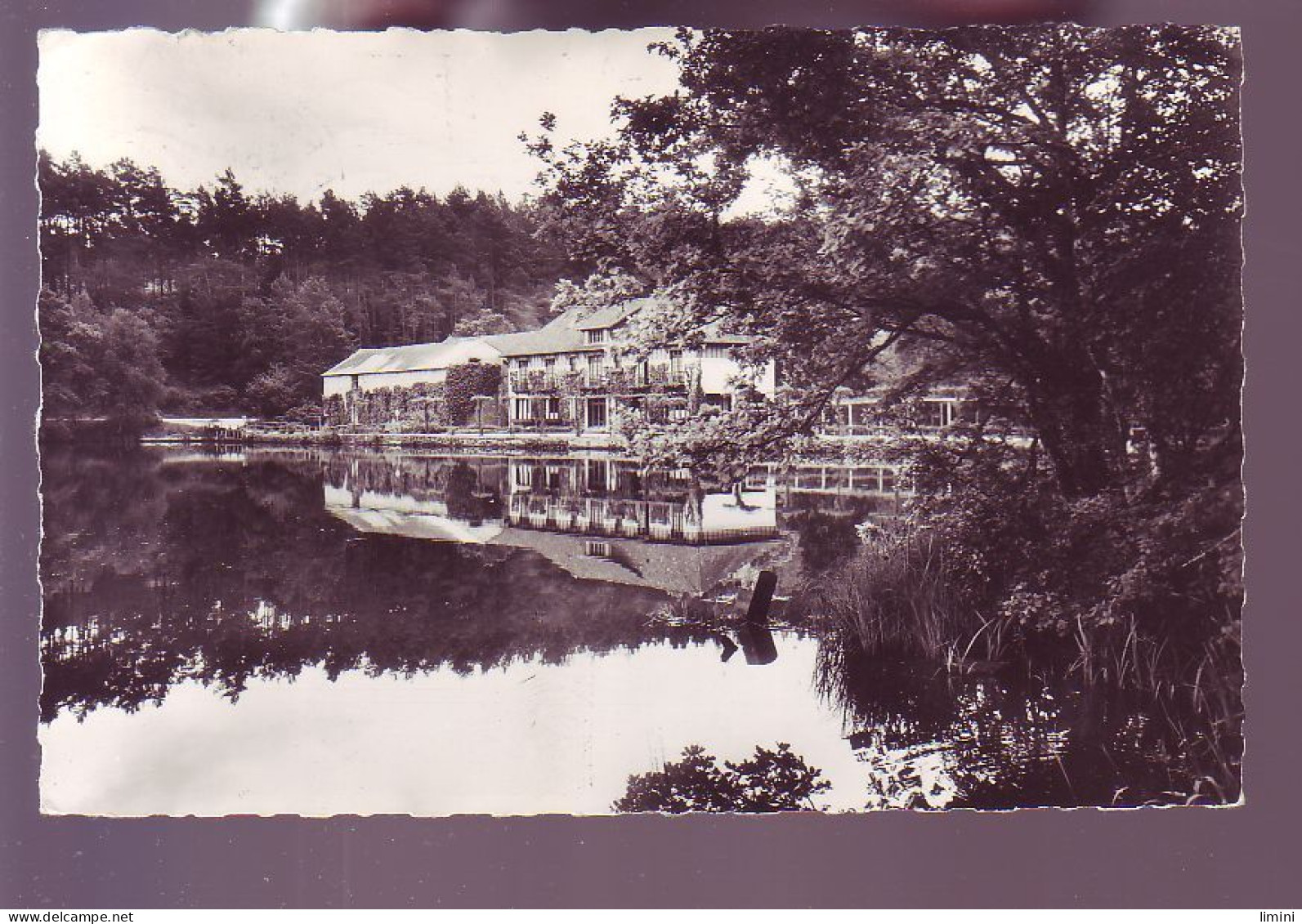 61 - BAGNOLES-de-L'ORNE - LA VALLÉE DE LA COUR  -  - Bagnoles De L'Orne