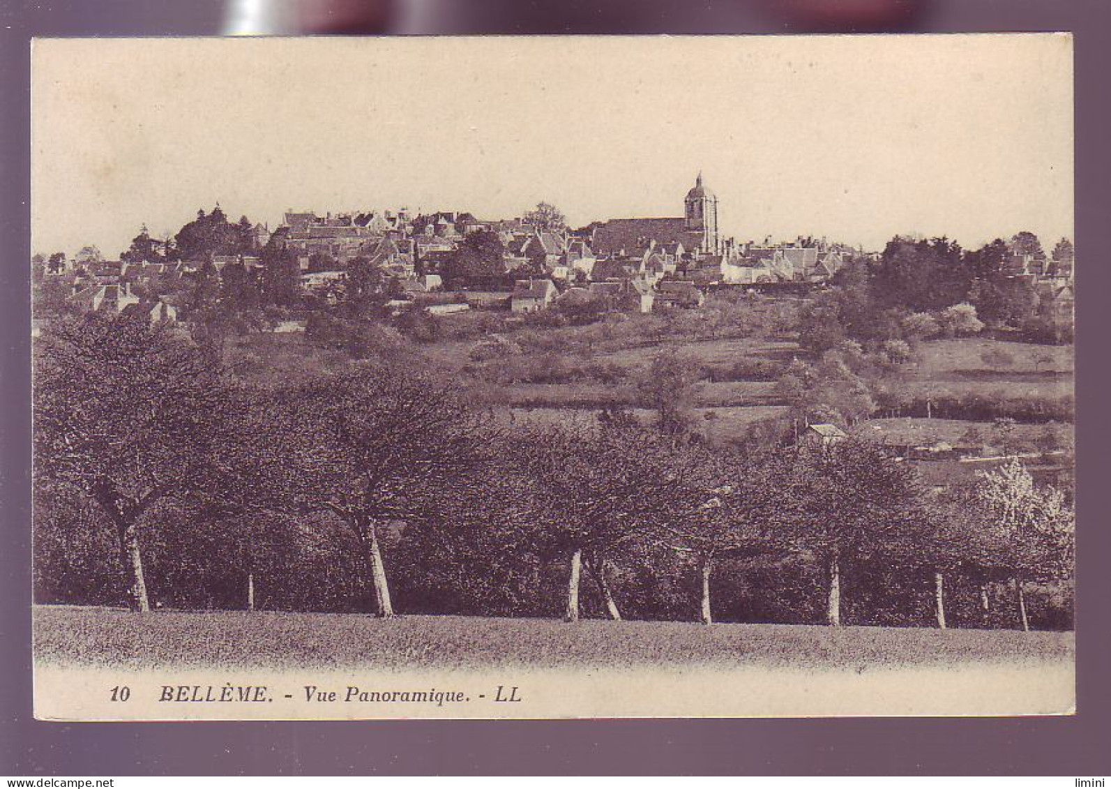 61 - BELLEME - VUE PANORAMIQUE -  - Other & Unclassified