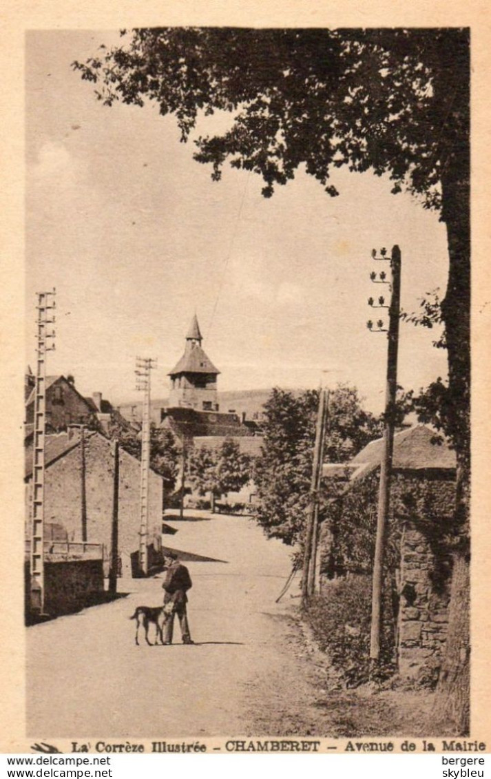 19. CPA - CHAMBERET -  Avenue De La Mairie - Série La Corrèze Illustrée - Homme Et Son Chien - - Other & Unclassified