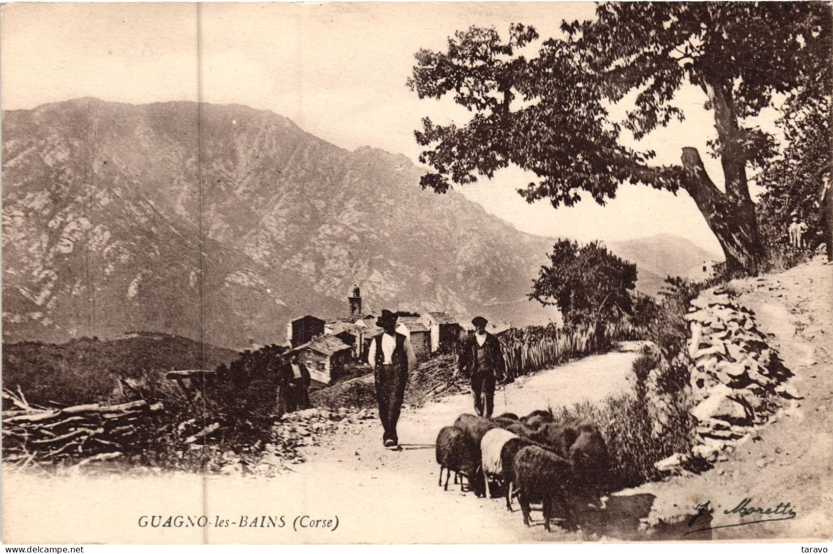 CORSE - GUAGNO-LES-BAINS - Bergers Et Leur Troupeau De Brebis - Sonstige & Ohne Zuordnung